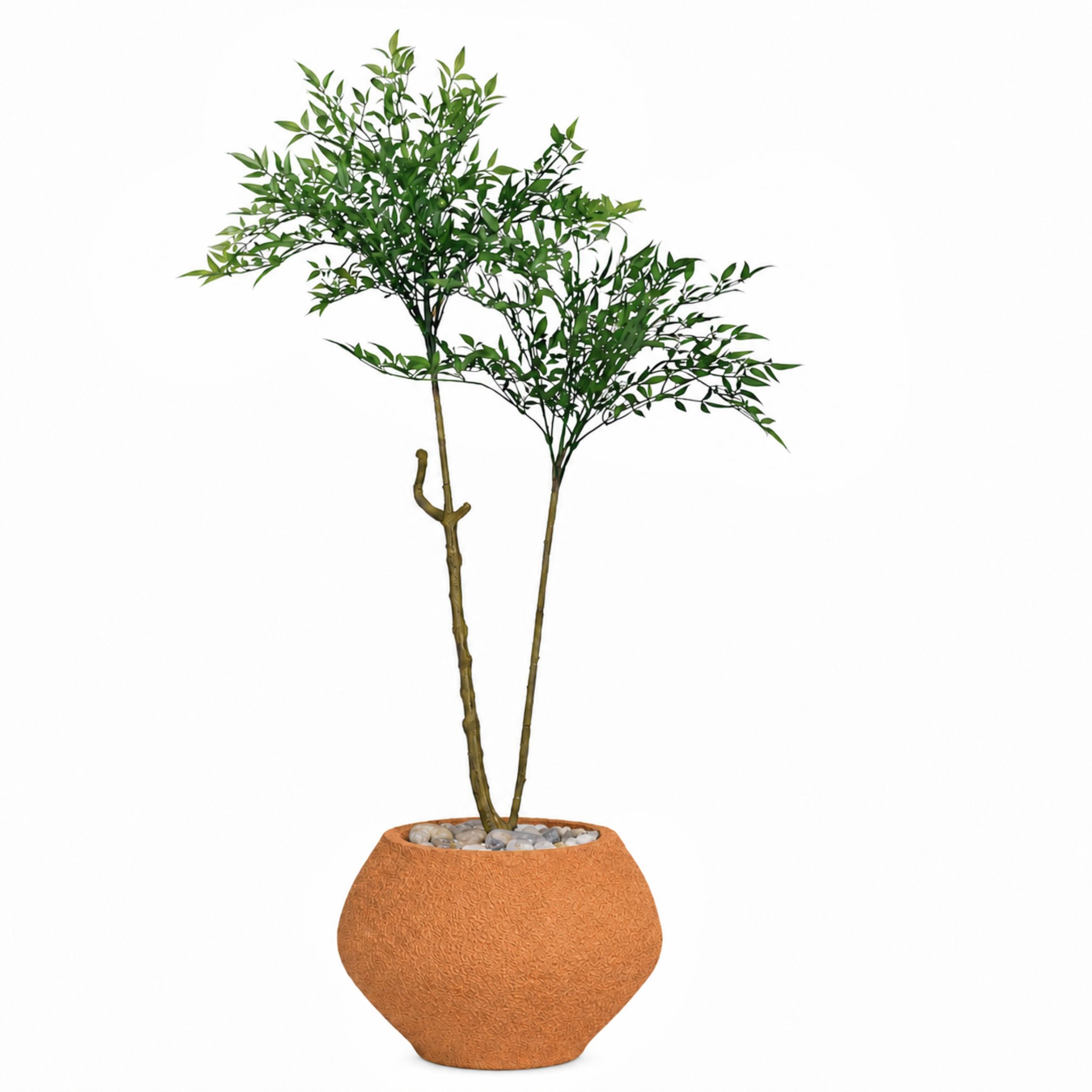 نبات سرخس صناعي مع حوض نبات كورا