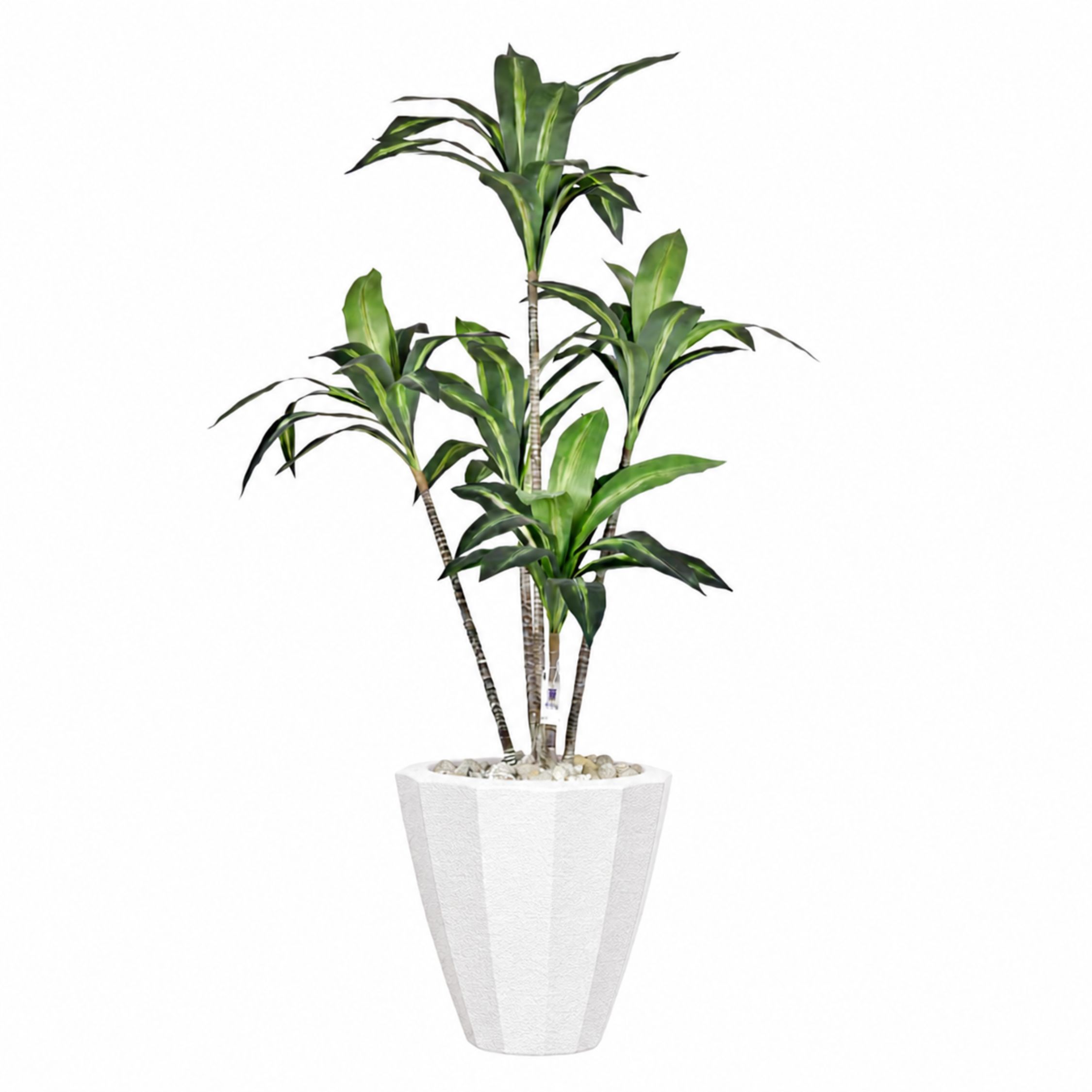 Artificial Dracaena Marginata in Terrazzo Planter