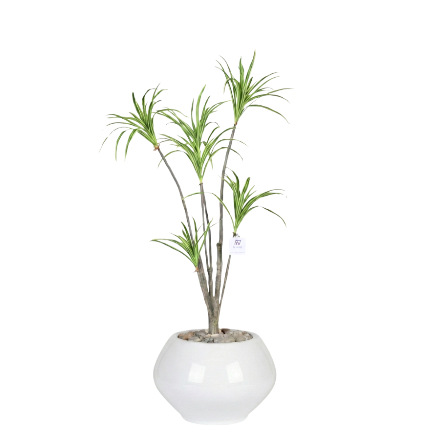 Artificial Dracaena Riki Tree with Kora Pot