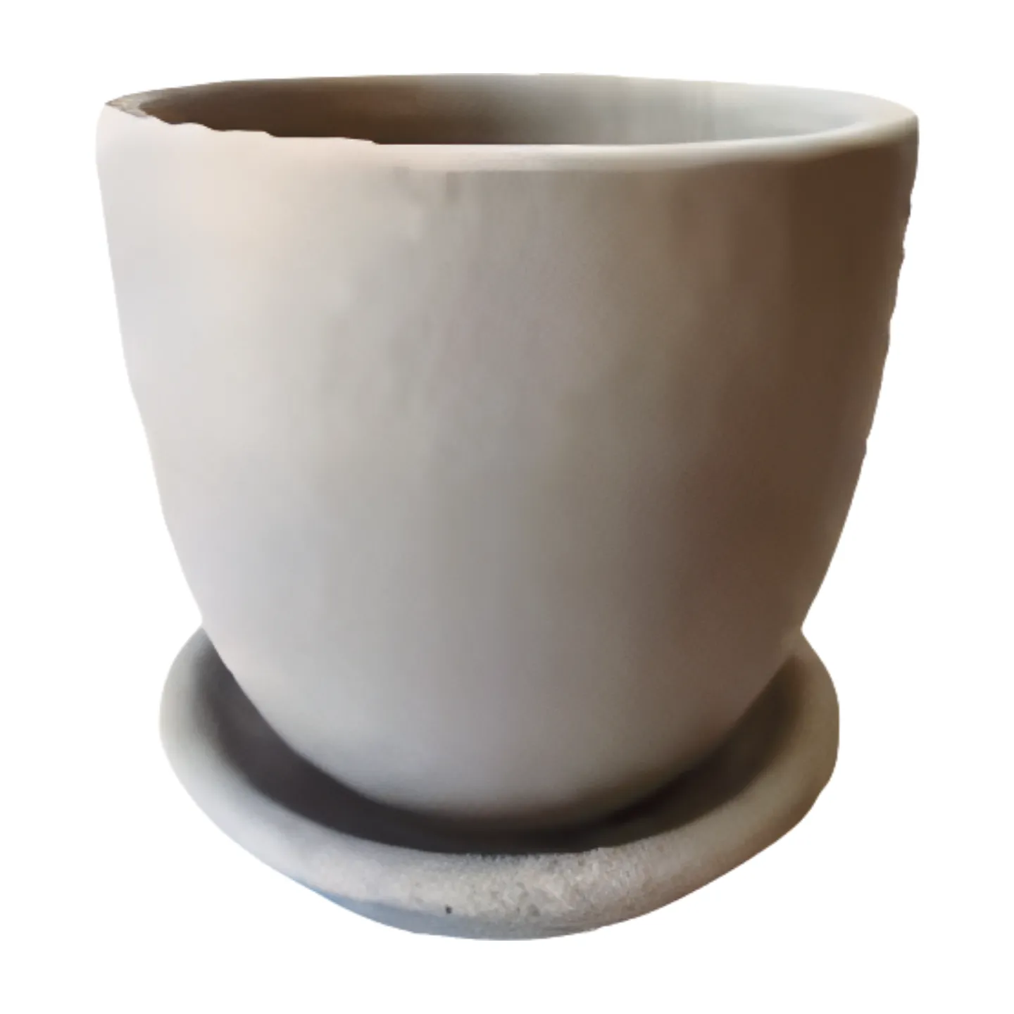 Miniature Strelitzia in Plant Pot