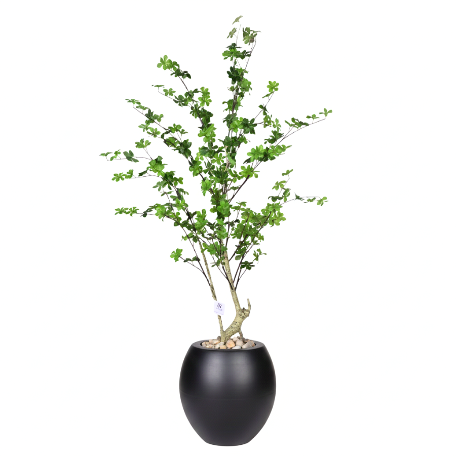 Artificial Maple Tree with Paula Pot