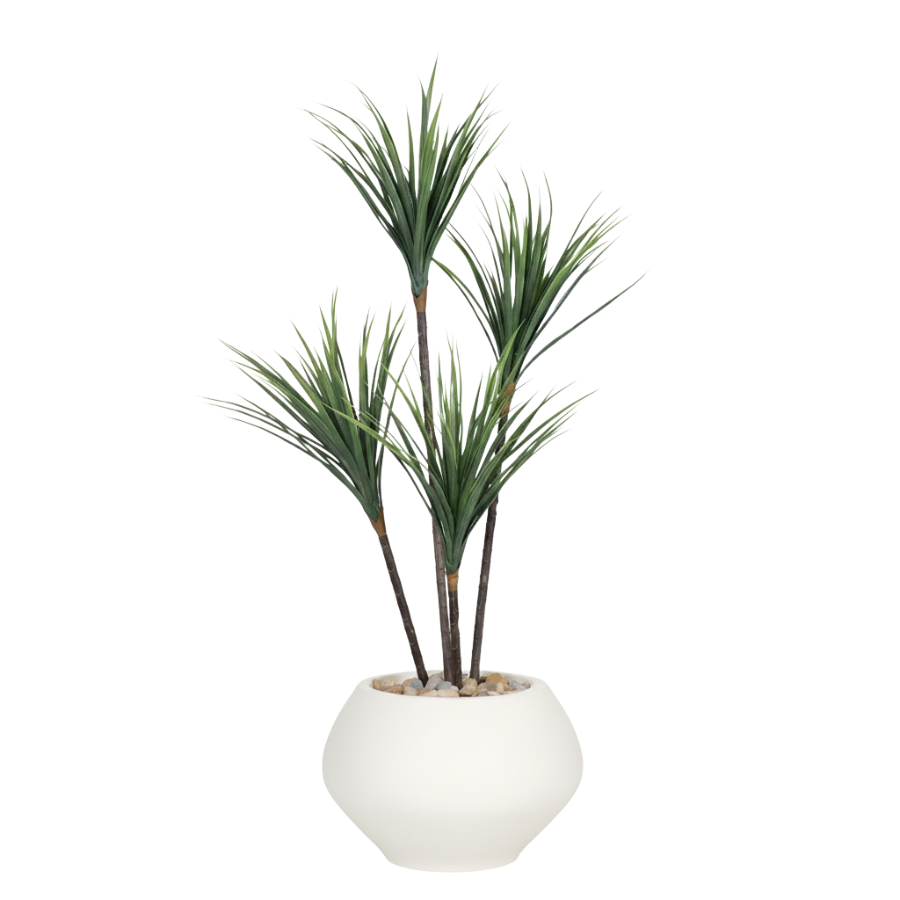 Artificial Dracaena Tree in Kora Planter