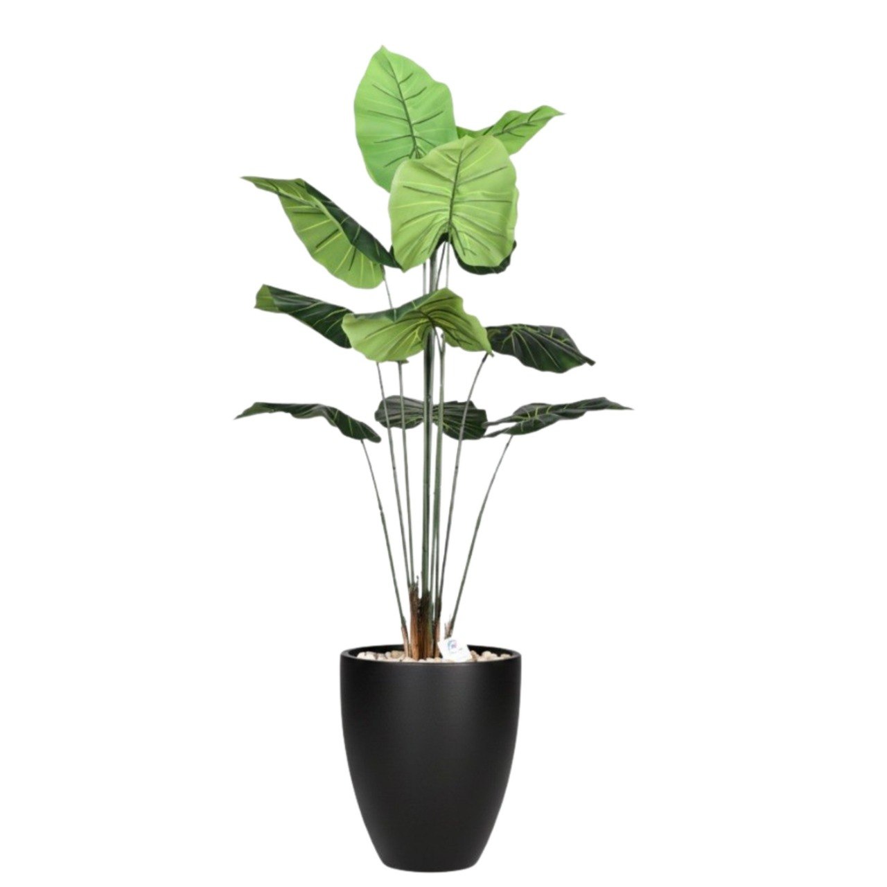 Artificial Taro Tree in Aura Planter