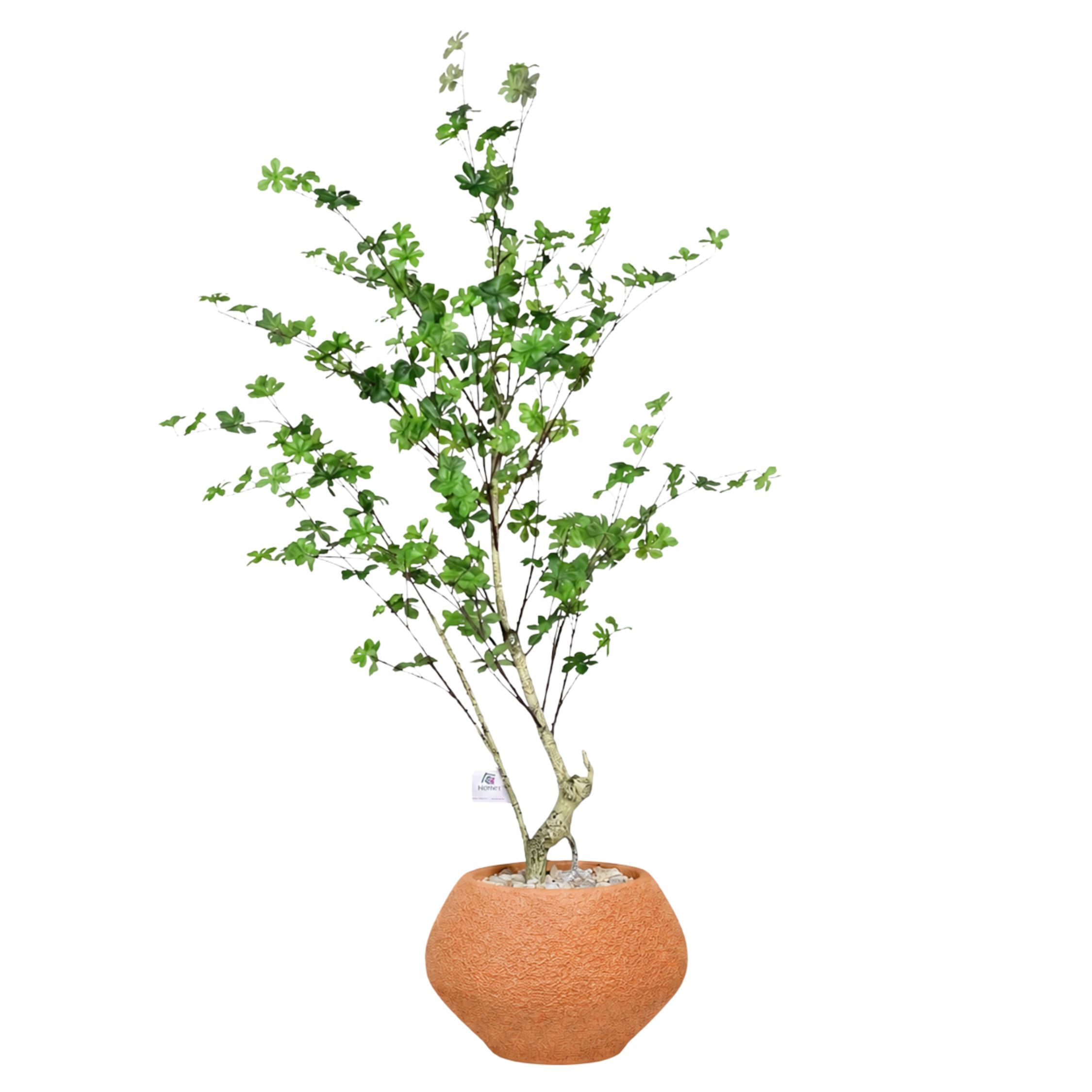 Artificial Maple Tree with Kora Planter