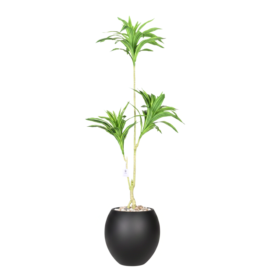 Artificial Dracaena Song of India Tree