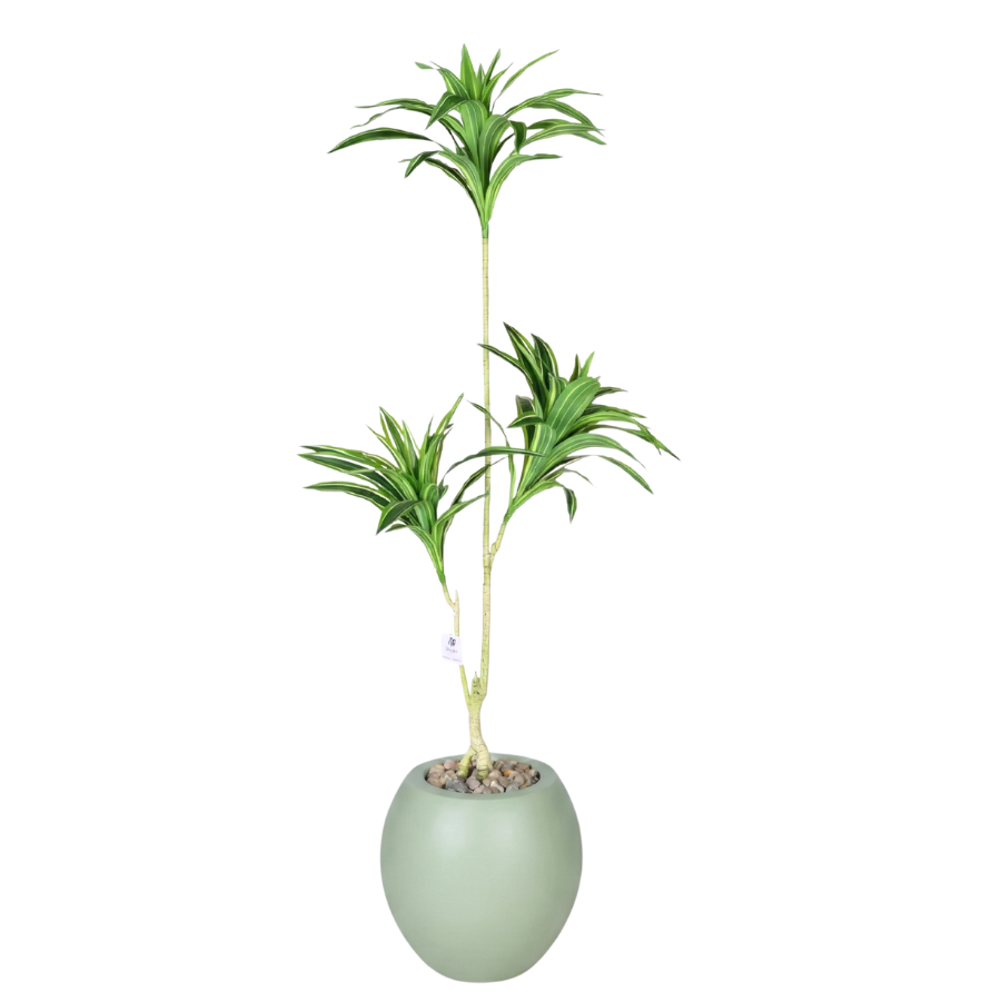 Artificial Dracaena Song of India Tree