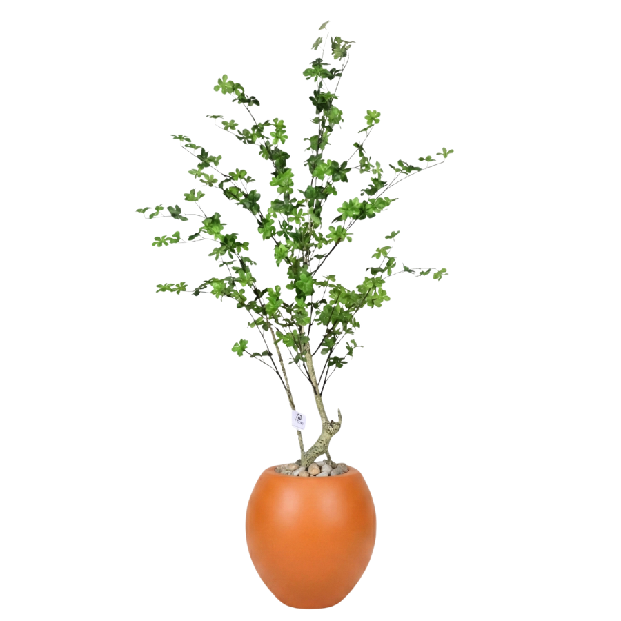 Artificial Maple Tree with Paula Pot