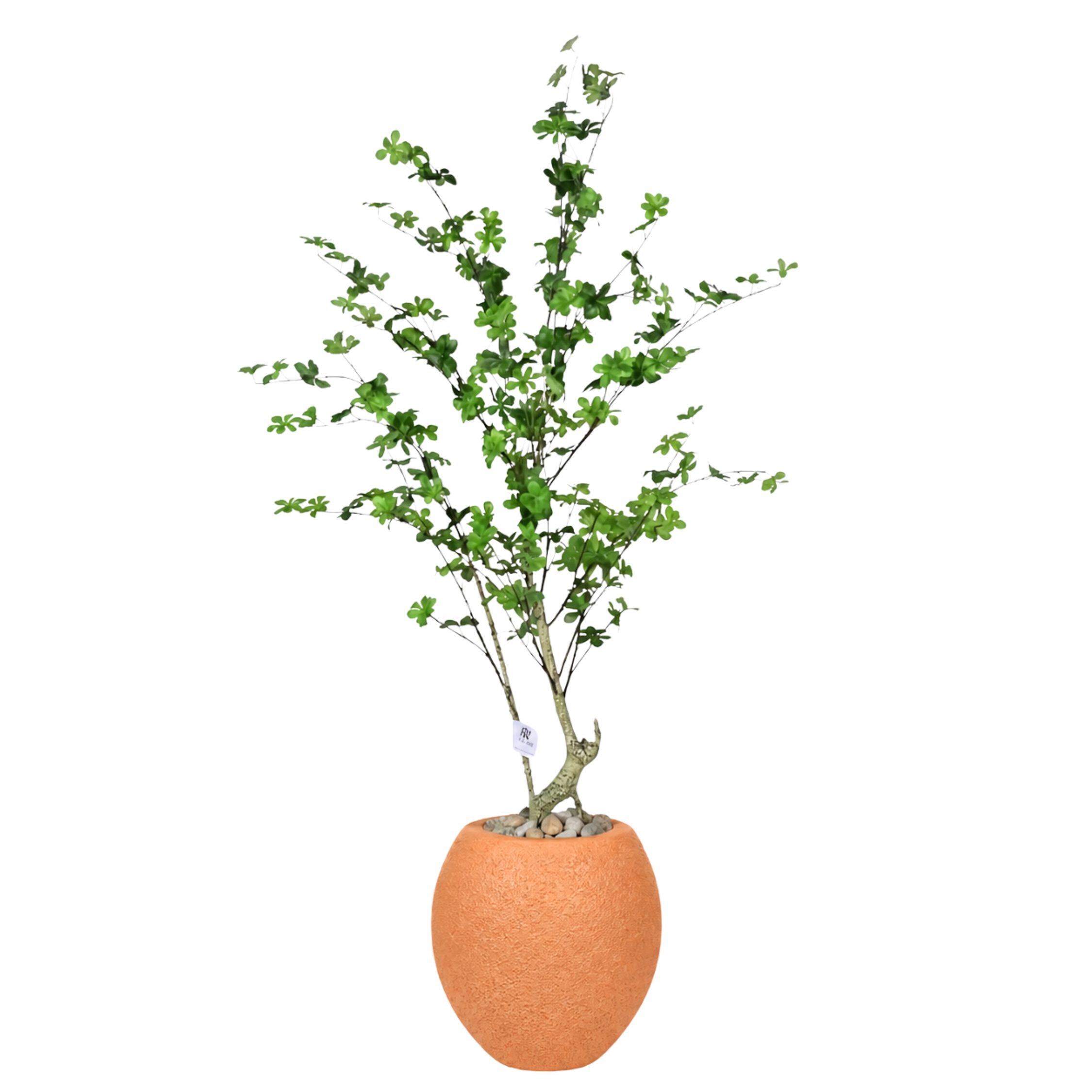 Artificial Maple Tree with Paula Pot