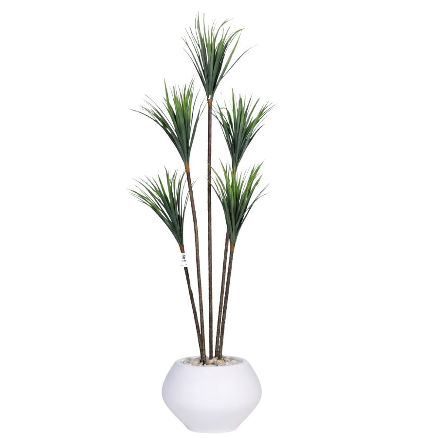 Artificial Dracaena Tree with Paula Pot