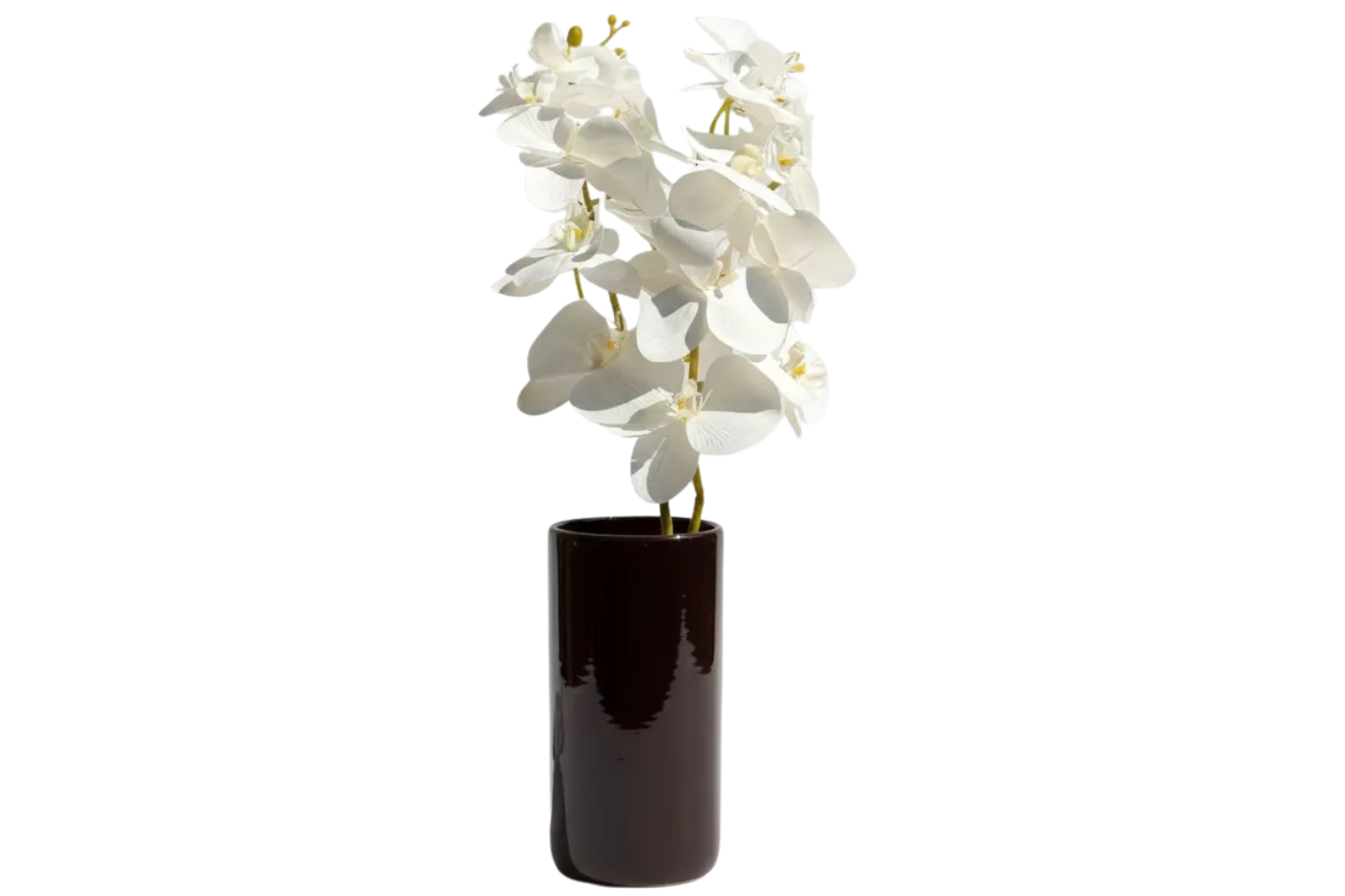 Glazed Orchid Vase