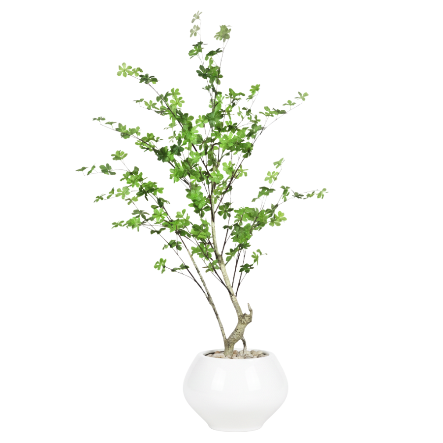 Artificial Maple Tree with Kora Planter