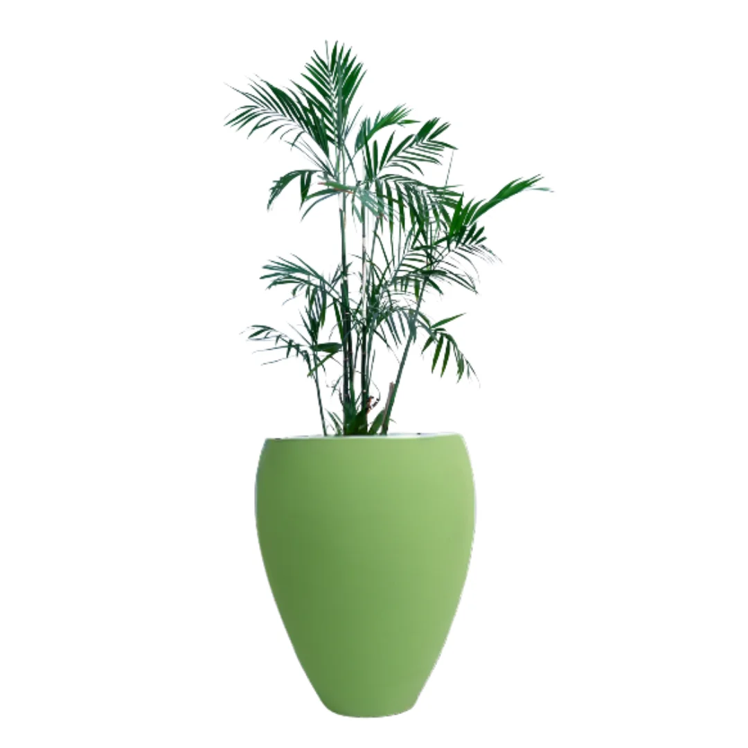 Fila Fiberglass Planters 2