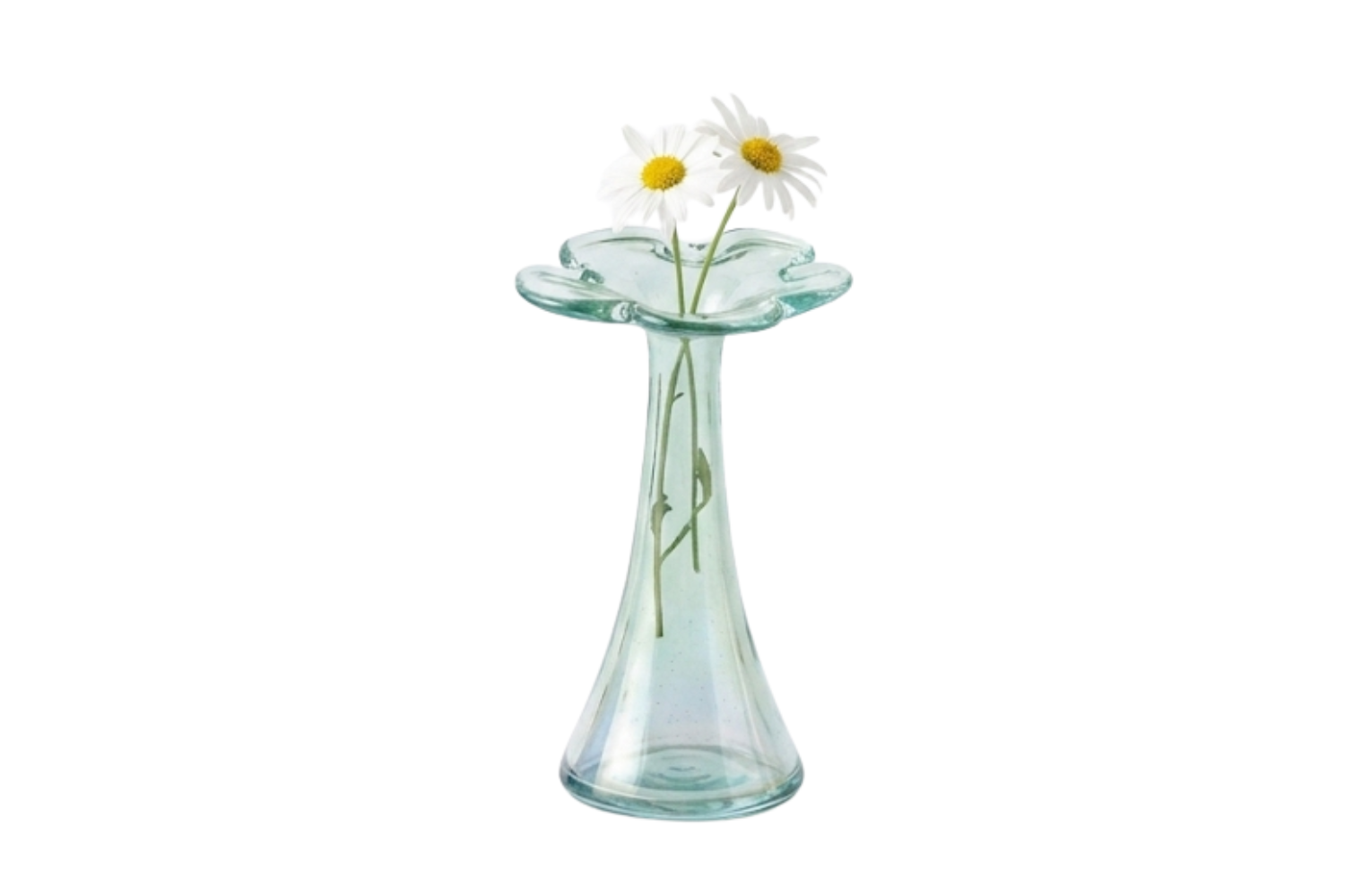 Glass Flower Vase