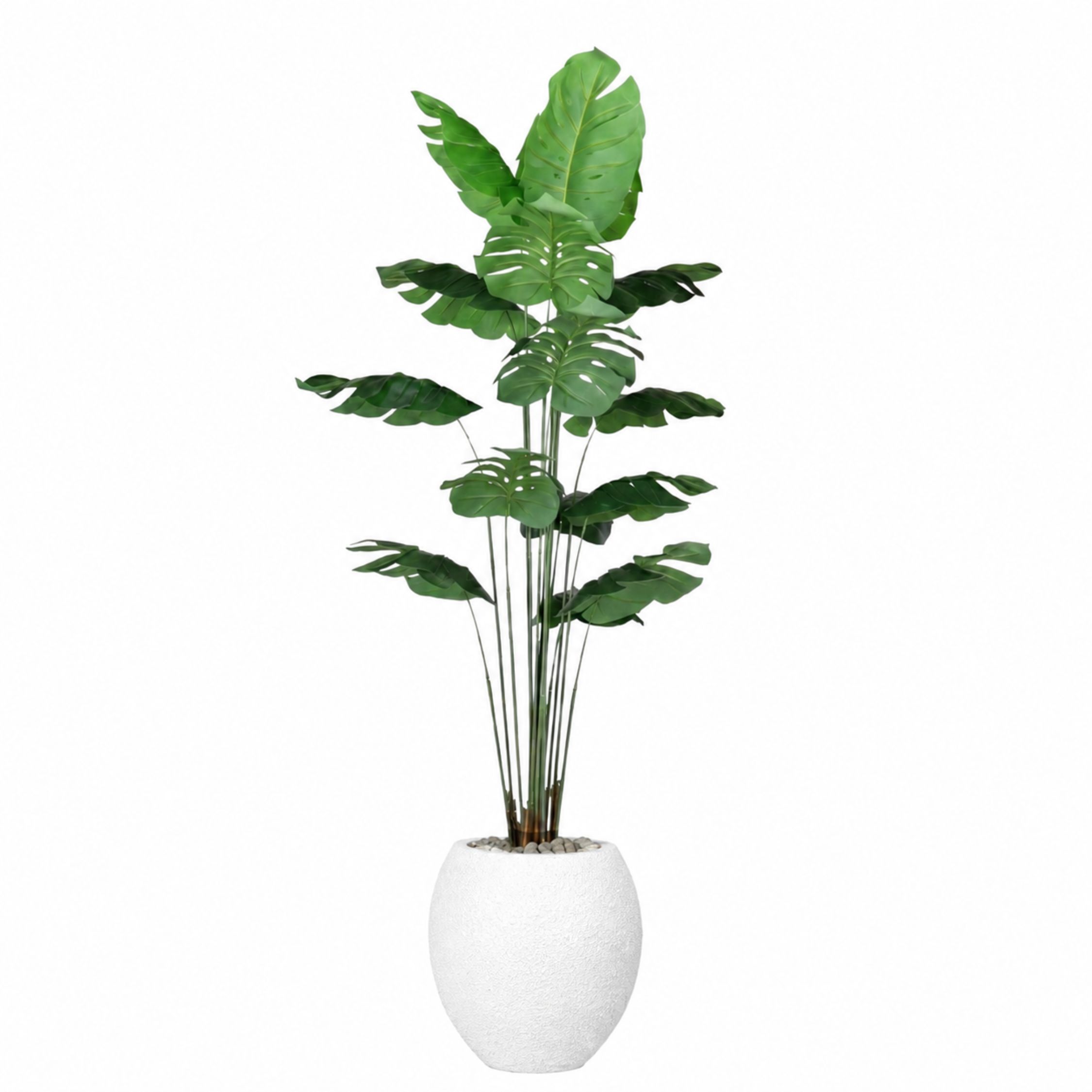 Artificial Monstera Tree with Paula Pot