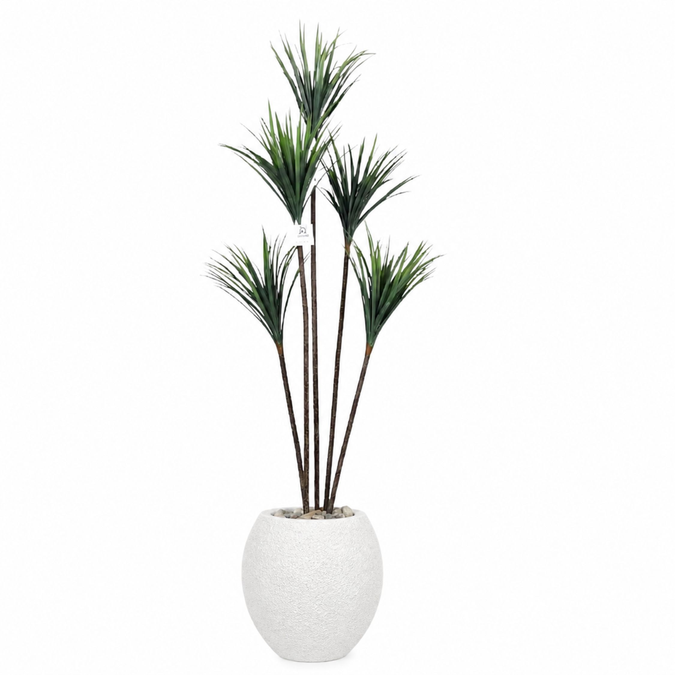 Artificial Dracaena Tree with Paula Pot