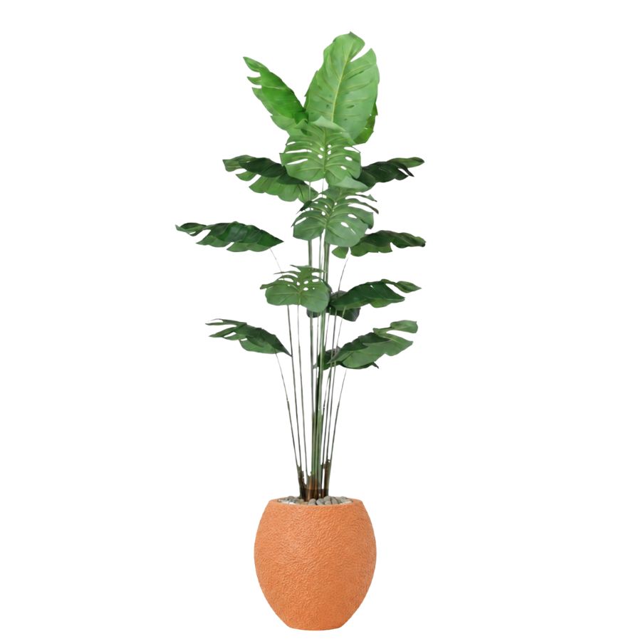 Artificial Monstera Tree with Paula Pot