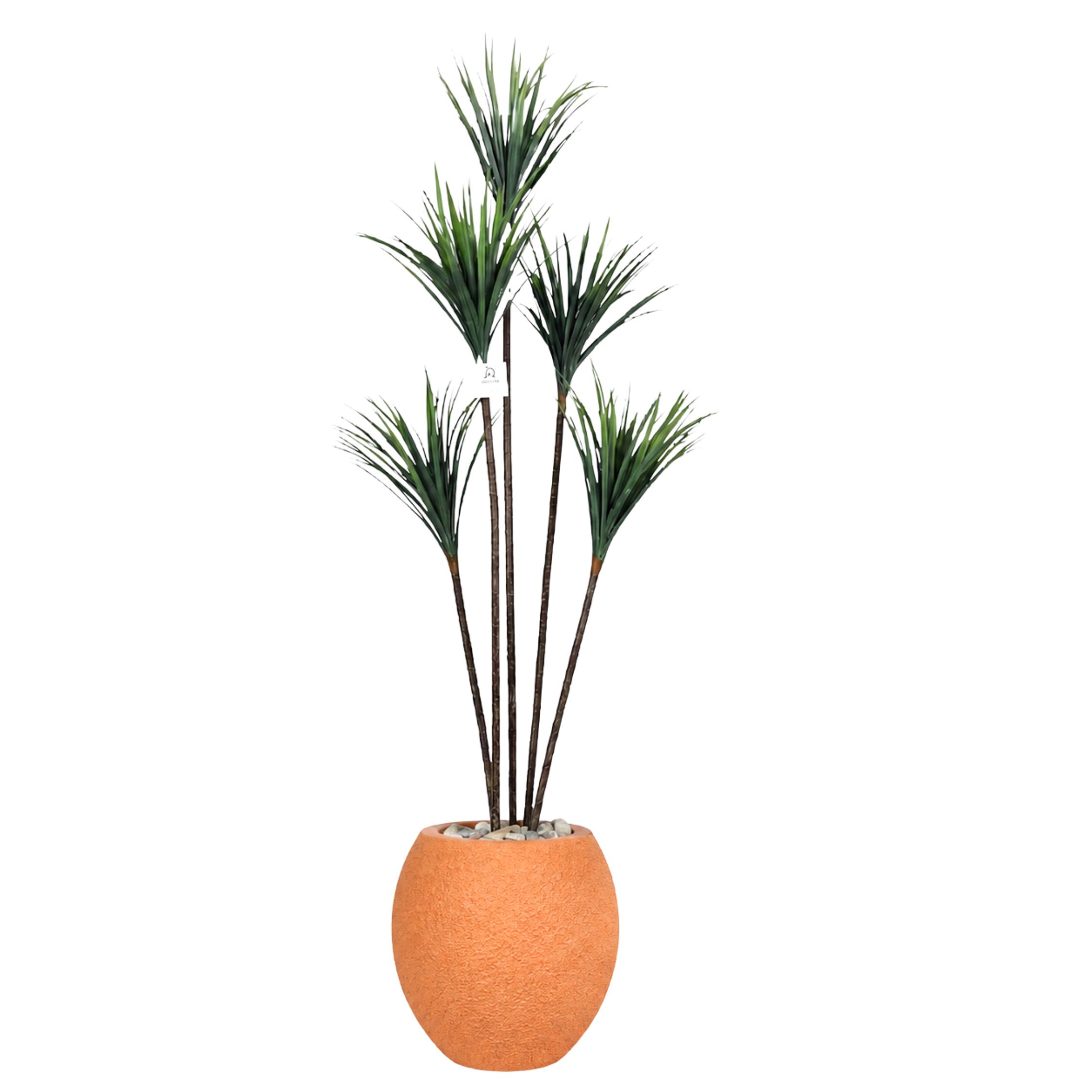 Artificial Dracaena Tree with Paula Pot
