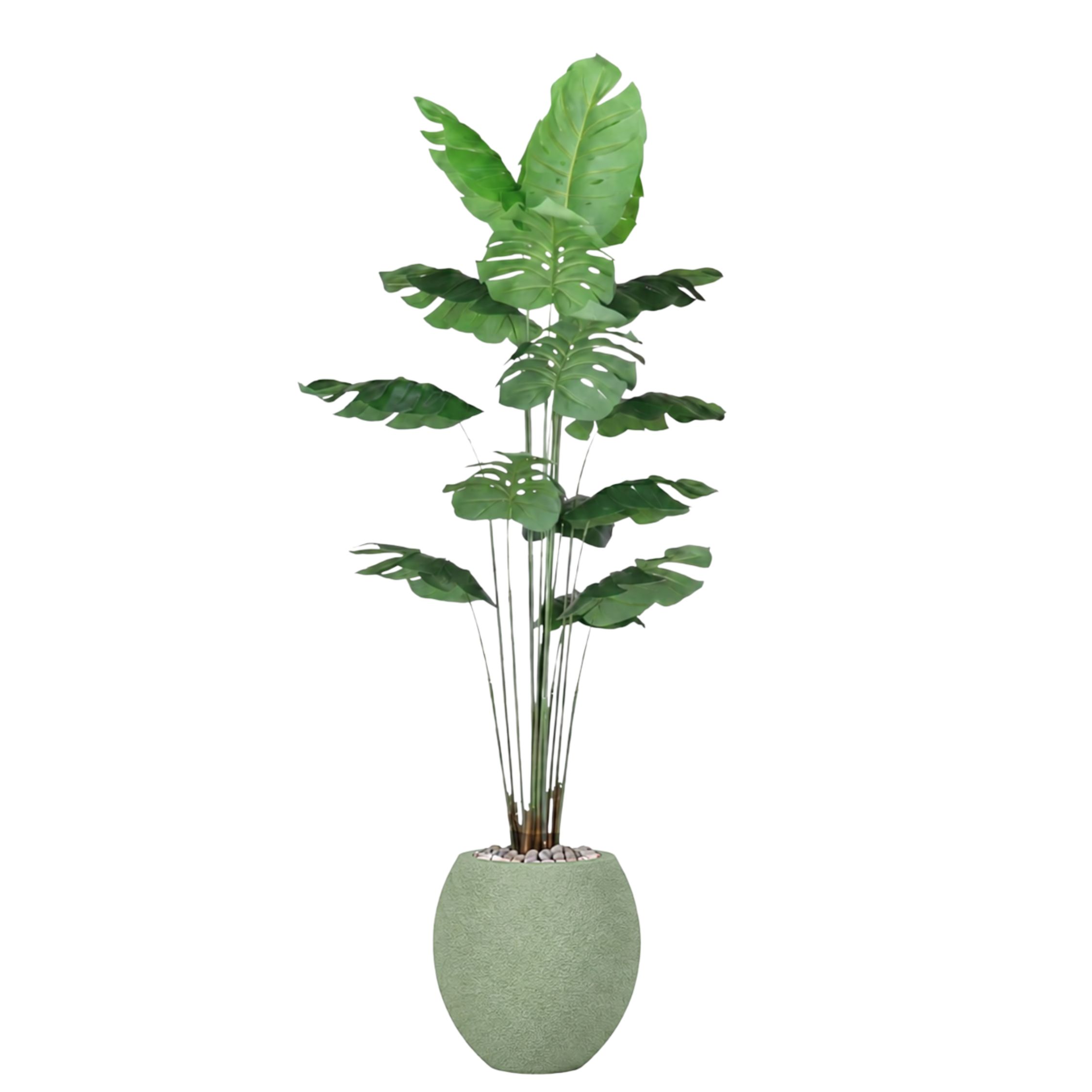 Artificial Monstera Tree with Paula Pot