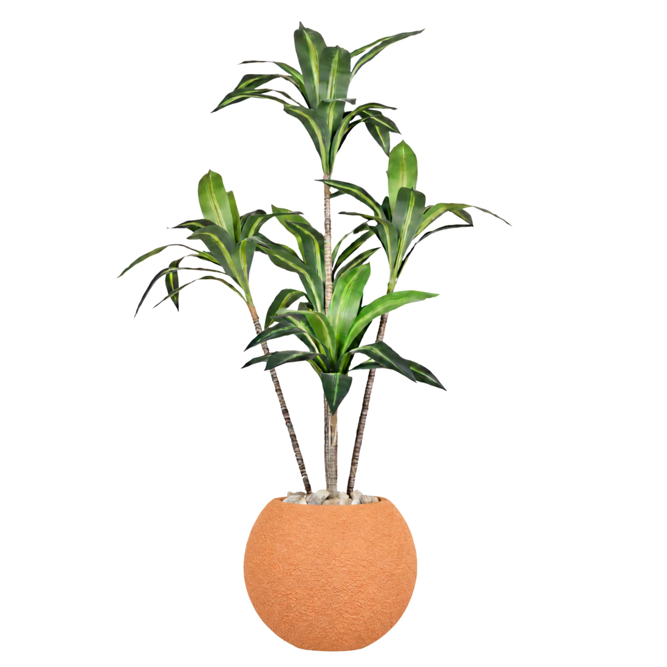 Artificial Dracaena Marginata Tree With Pelio Pot