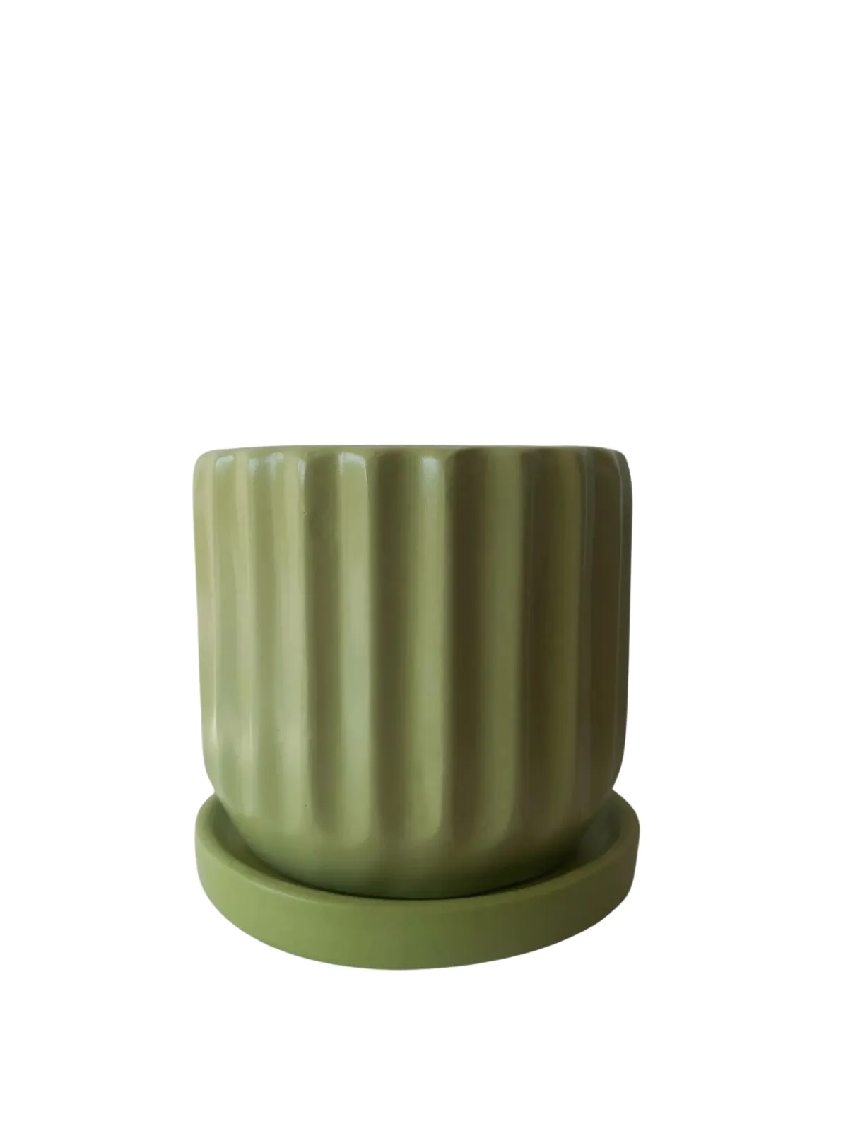 Ribbed Pot