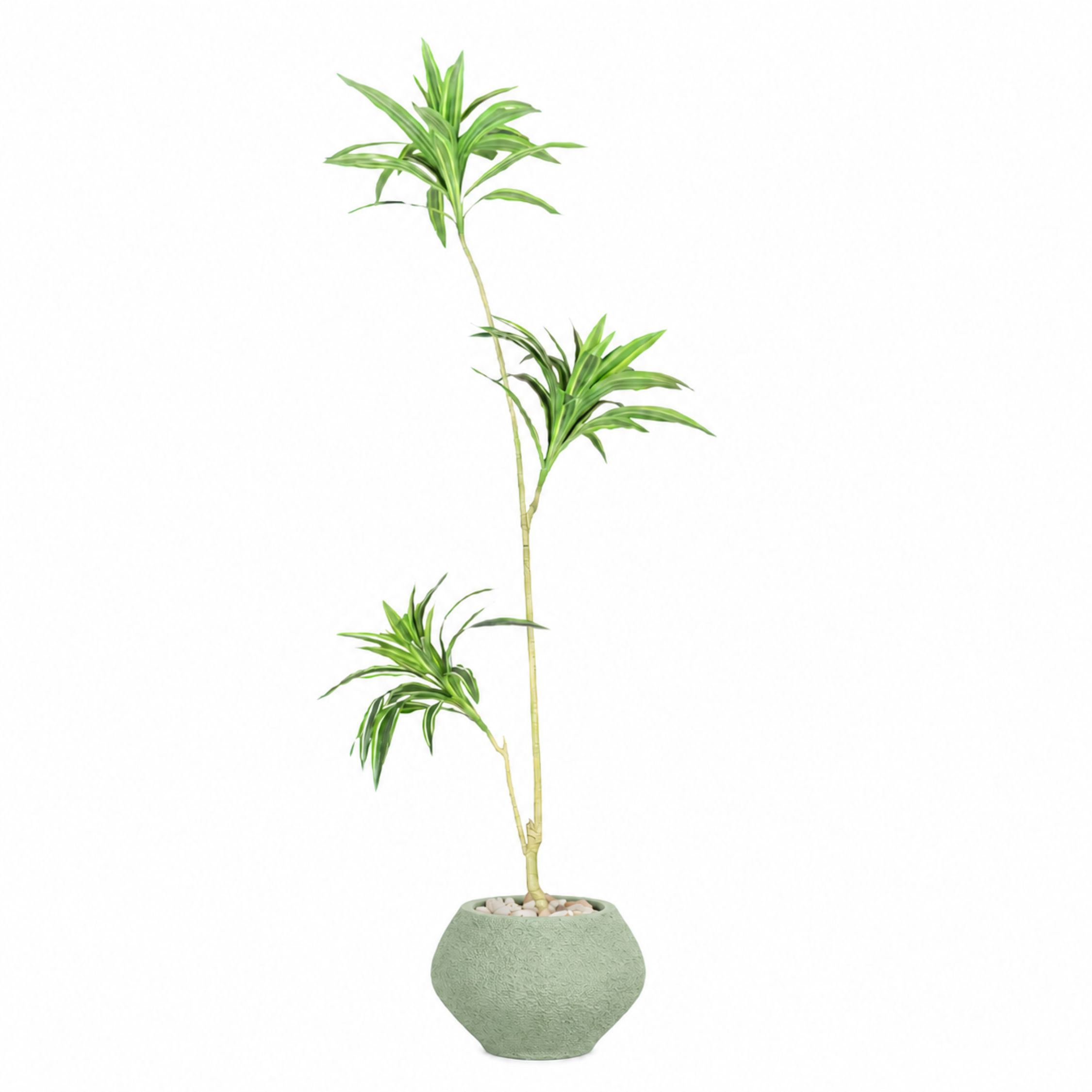 Artificial Dracaena Song of India Tree With Kora Pot