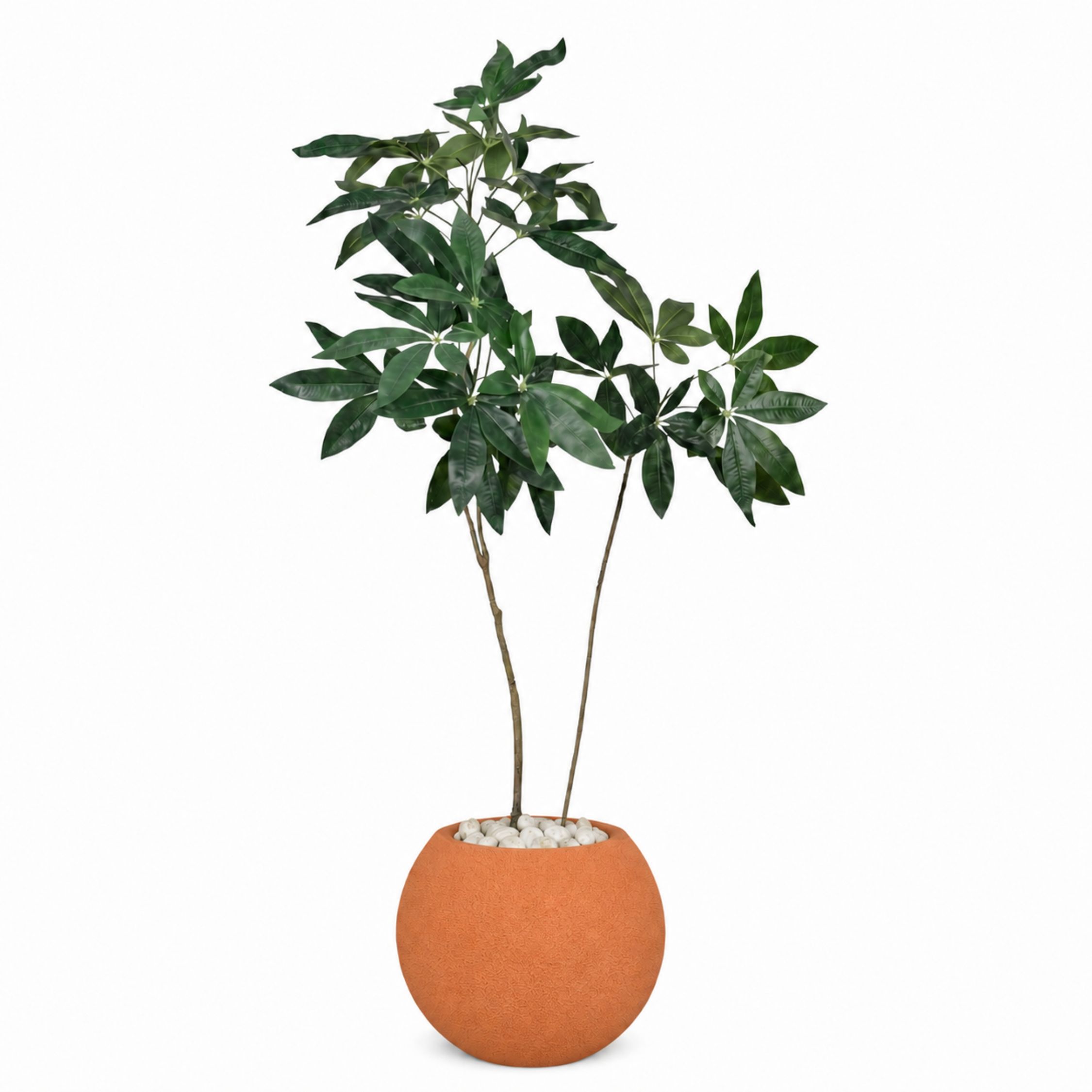 Artificial Money Tree in Bello Planter