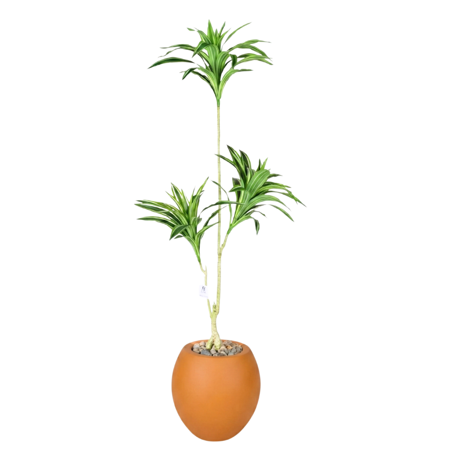 Artificial Dracaena Song of India Tree