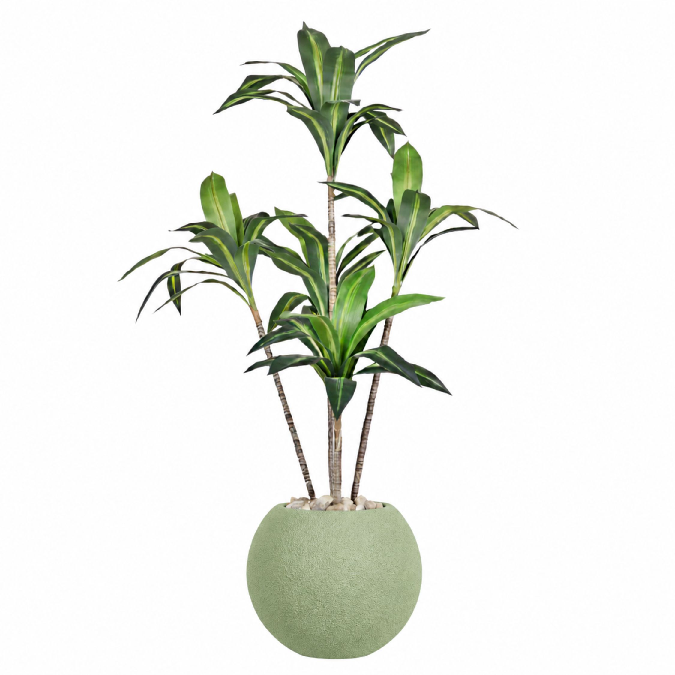 Artificial Dracaena Marginata Tree With Pelio Pot