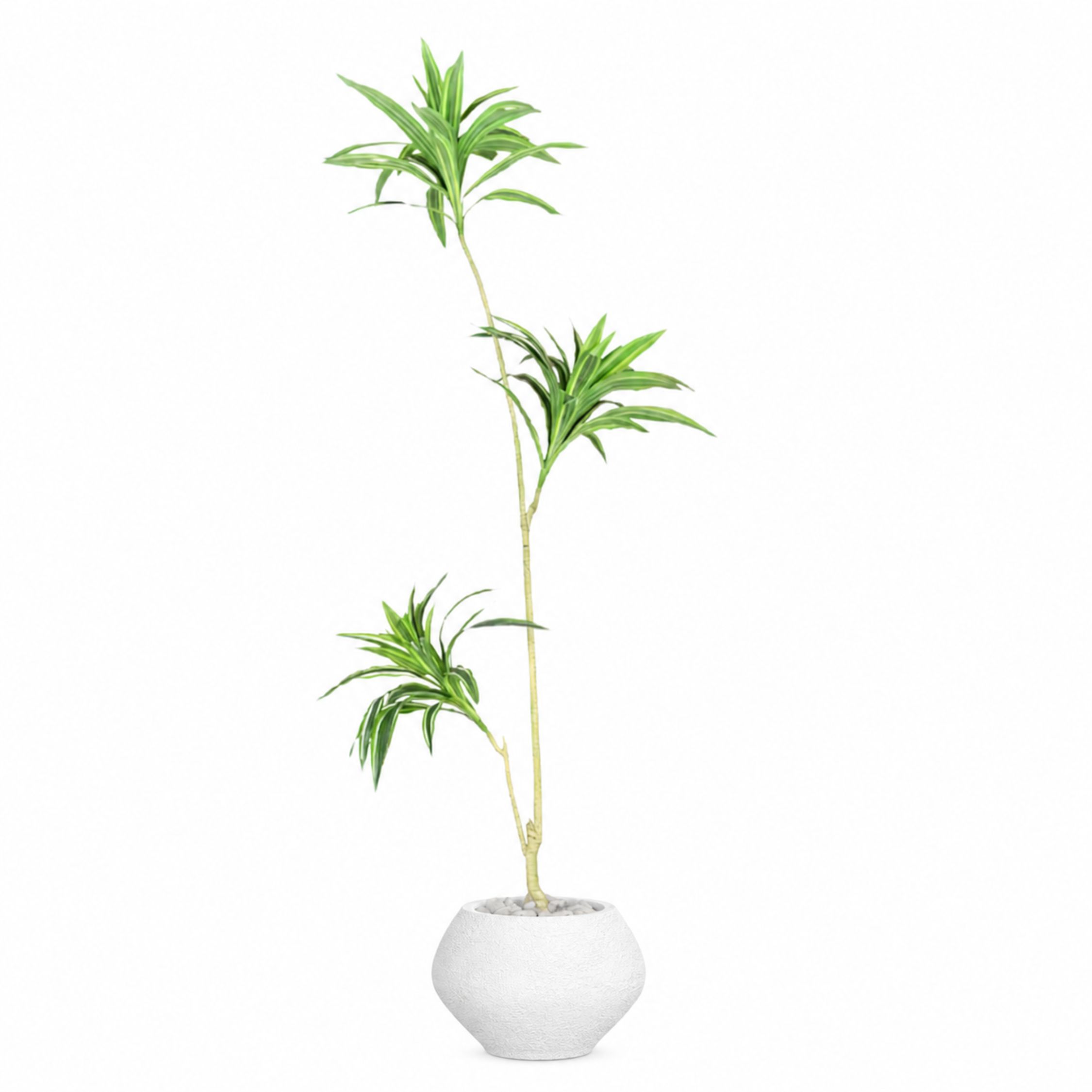 Artificial Dracaena Song of India Tree With Kora Pot