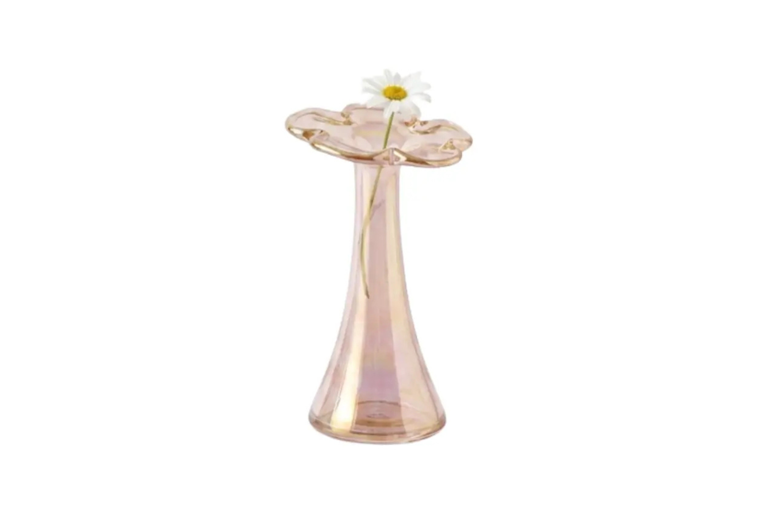 Glass Flower Vase