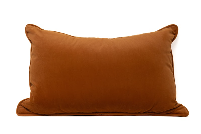 Brick Blush Velvet Cushion (NS Tesla-19)