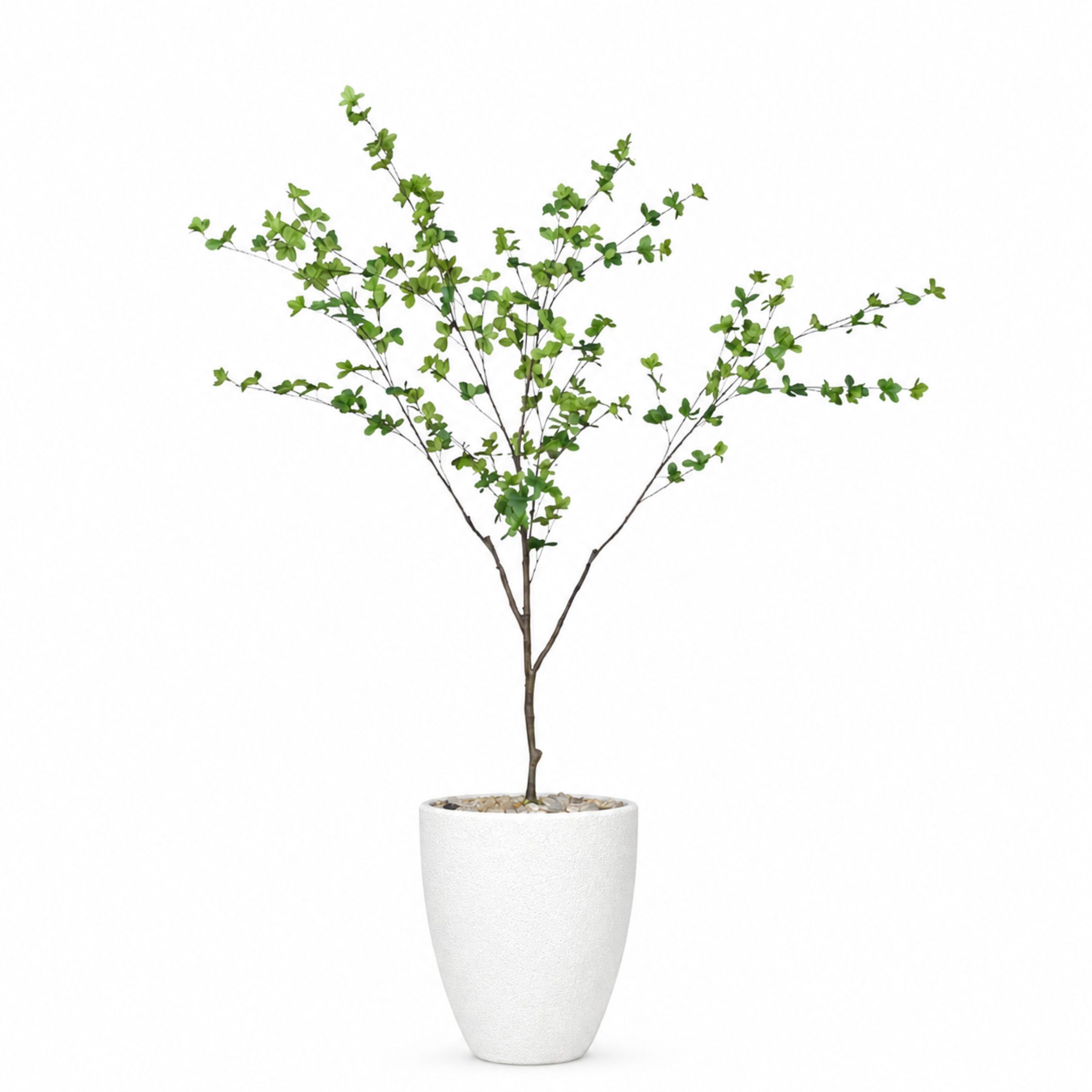 Artificial Maple Tree with Aura Planter