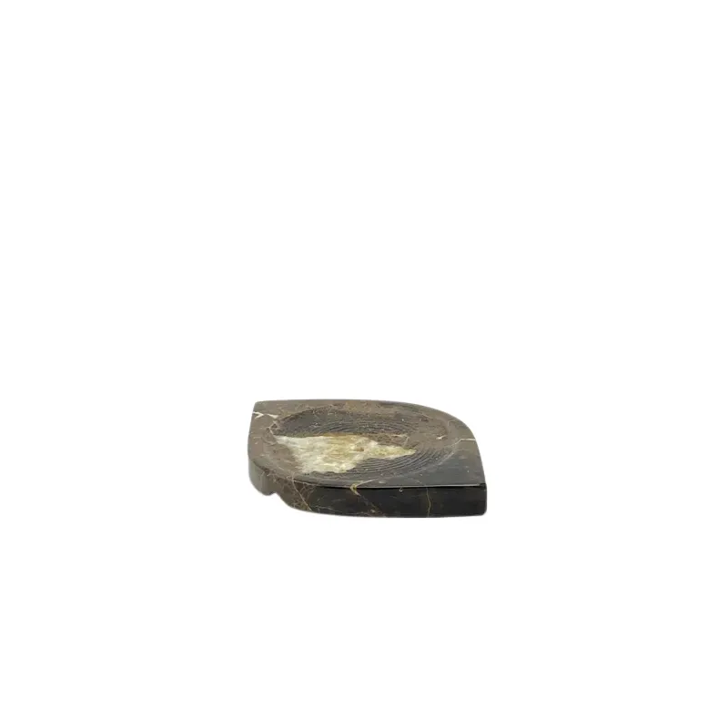 Soap Dish 2