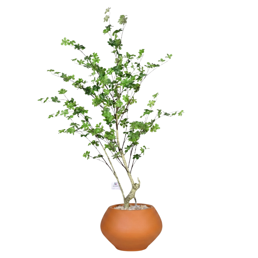 Artificial Maple Tree with Kora Planter