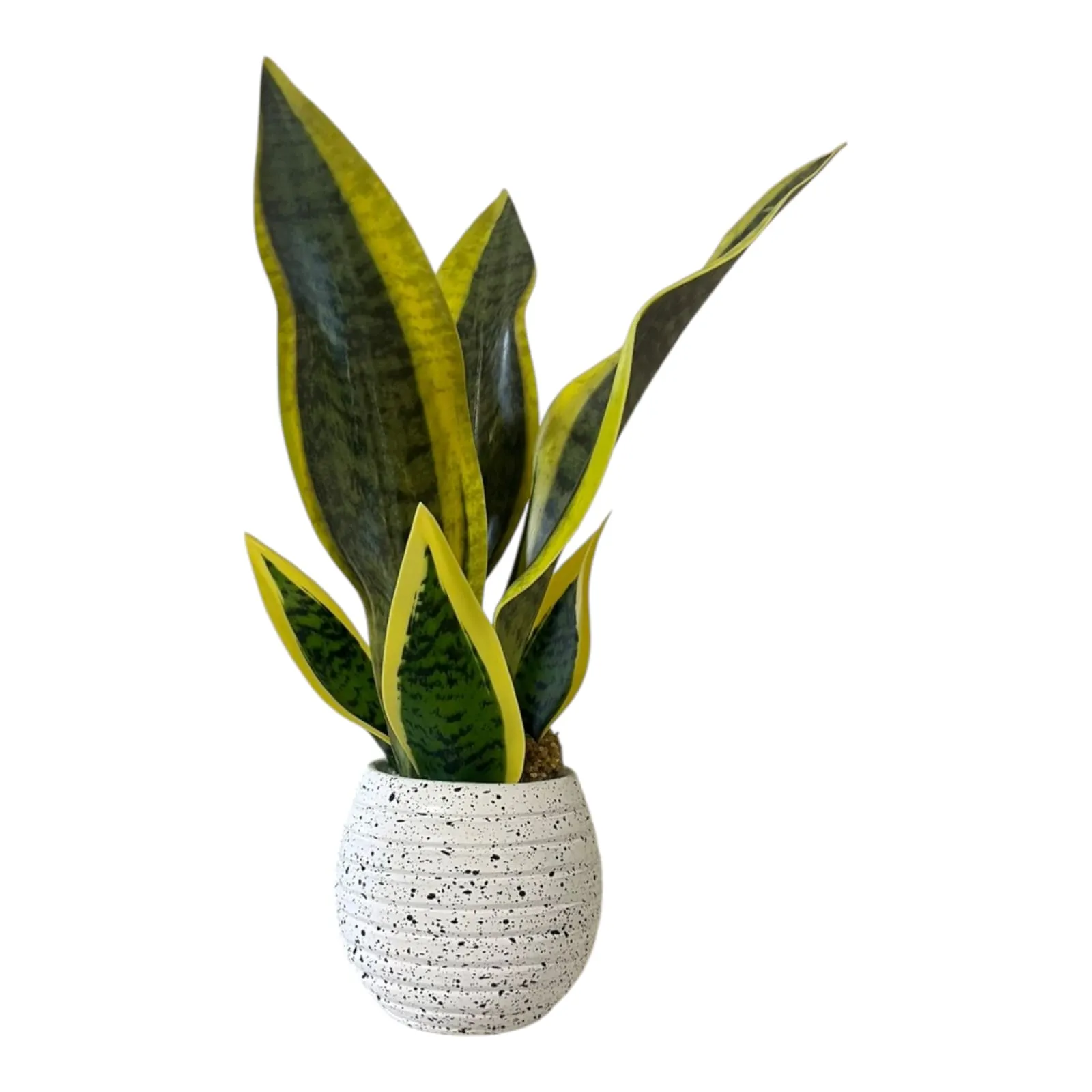 Artificial Snake Plant with Terrazzo Pot