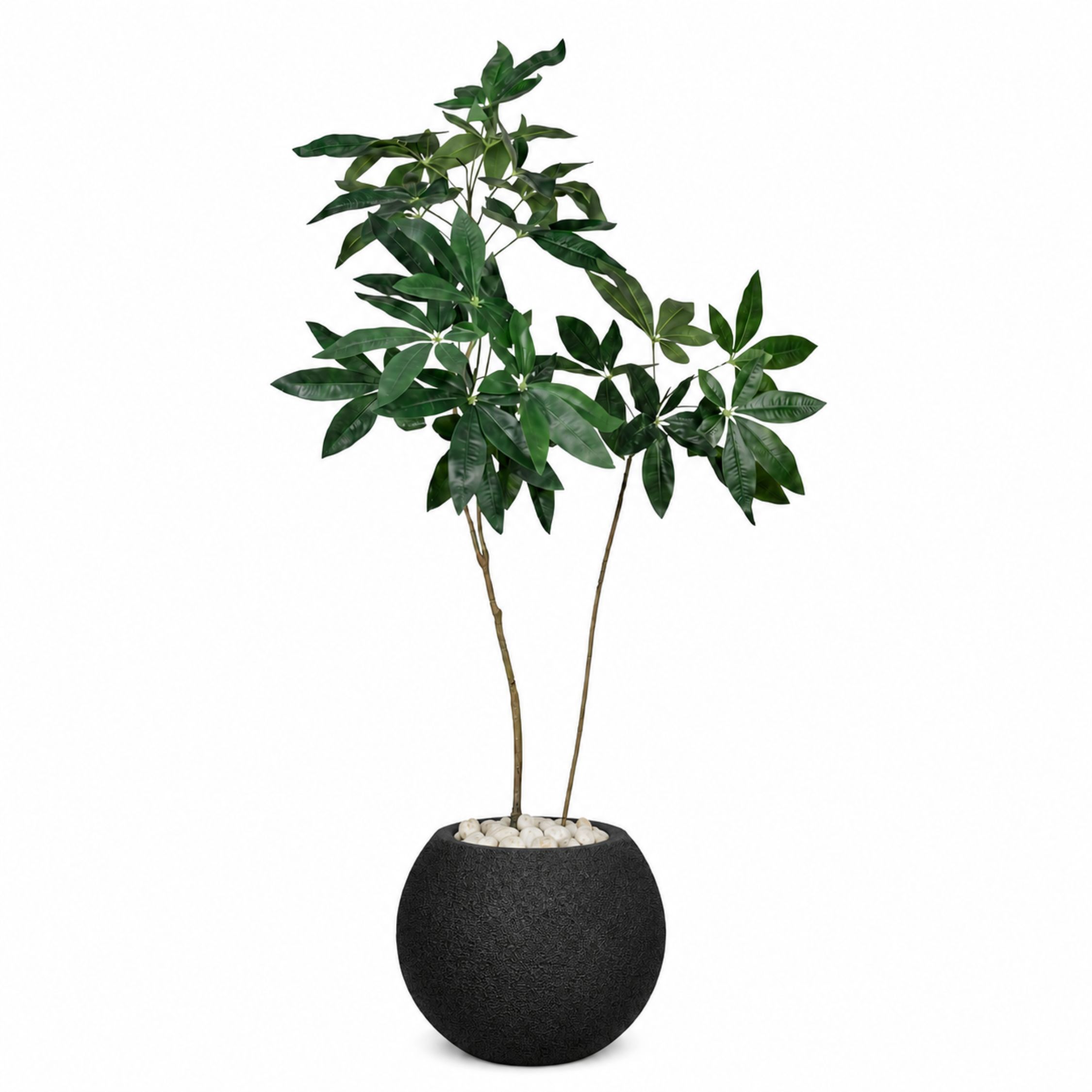 Artificial Money Tree in Bello Planter