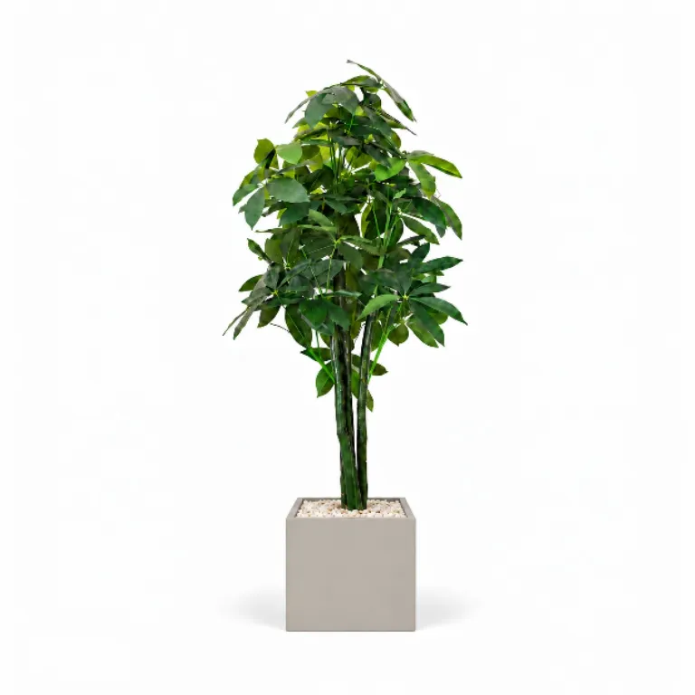 Realistic Artificial Money Tree In Cube Pot