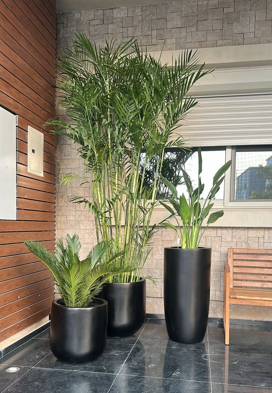Trioest Fiberglass Pots With Plants 2