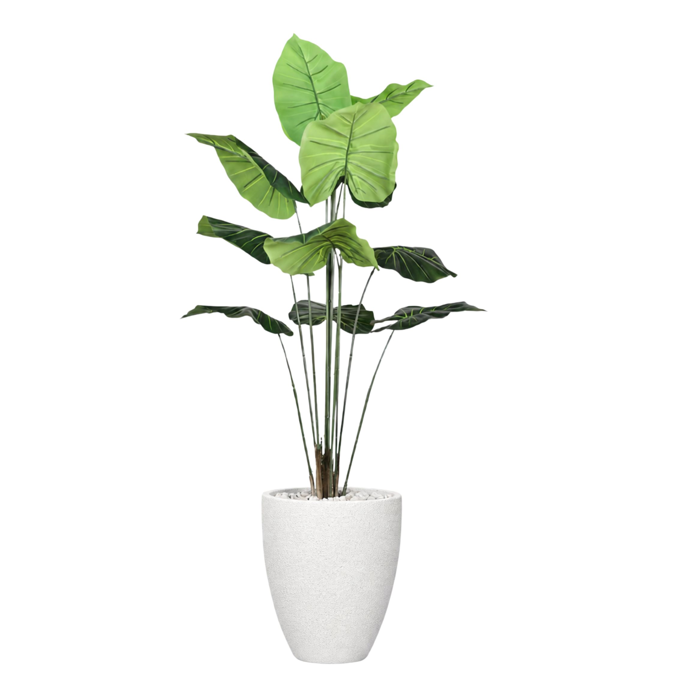 Artificial Taro Tree in Aura Planter