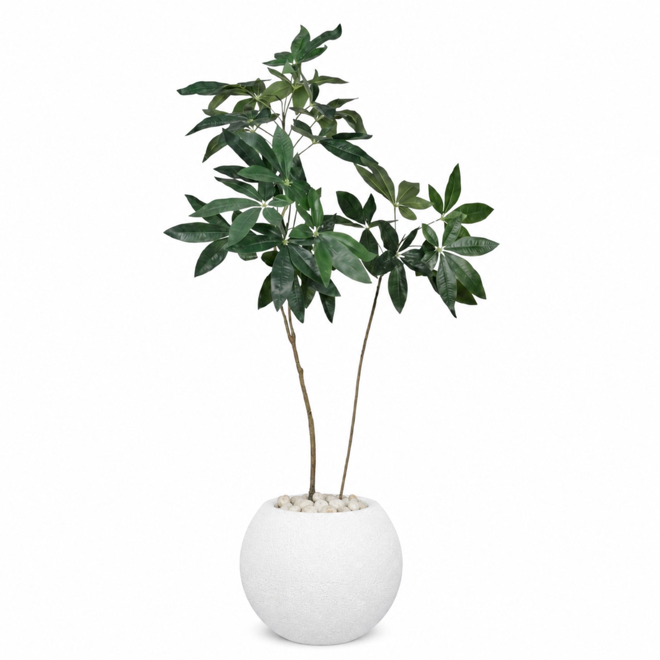 Artificial Money Tree in Bello Planter
