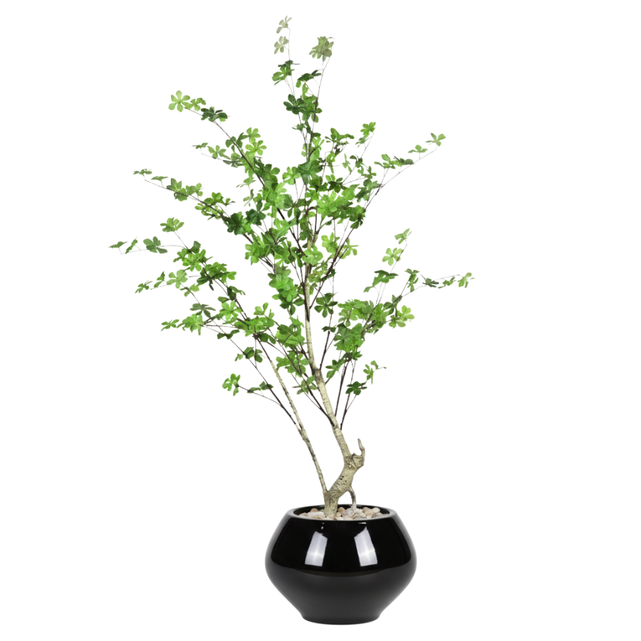 Artificial Maple Tree with Kora Planter