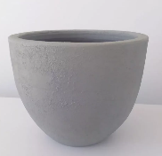 Miniature Strelitzia in Plant Pot 13