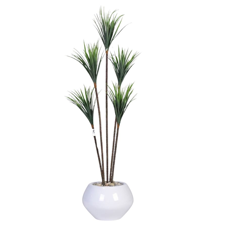 Artificial Dracaena Tree with Paula Pot