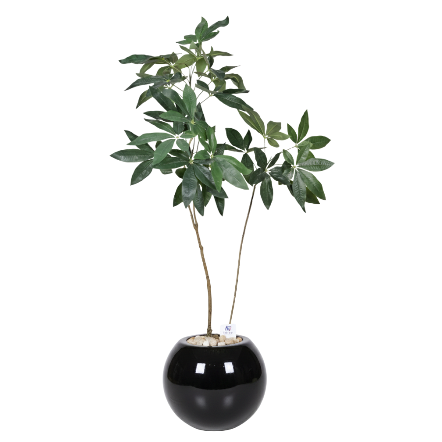 Artificial Money Tree in Bello Planter