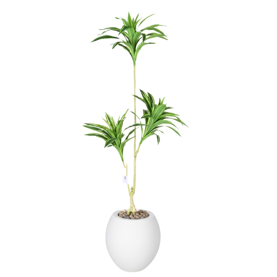 Artificial Dracaena Song of India Tree