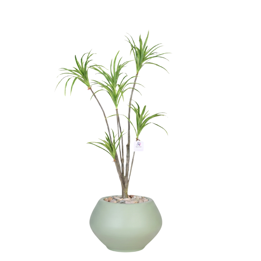 Artificial Dracaena Riki Tree with Kora Pot