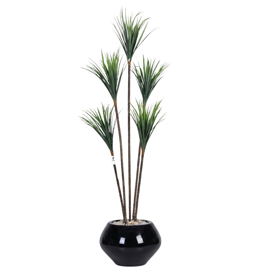 Artificial Dracaena Tree with Paula Pot