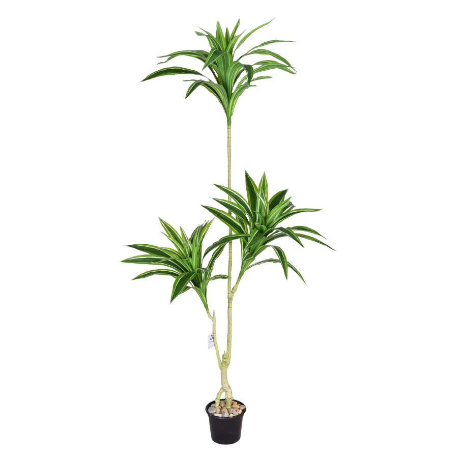 05KLRp9R8oHWkI9XCu6yj44rQeHWFEDlkOrBU6EJ.png