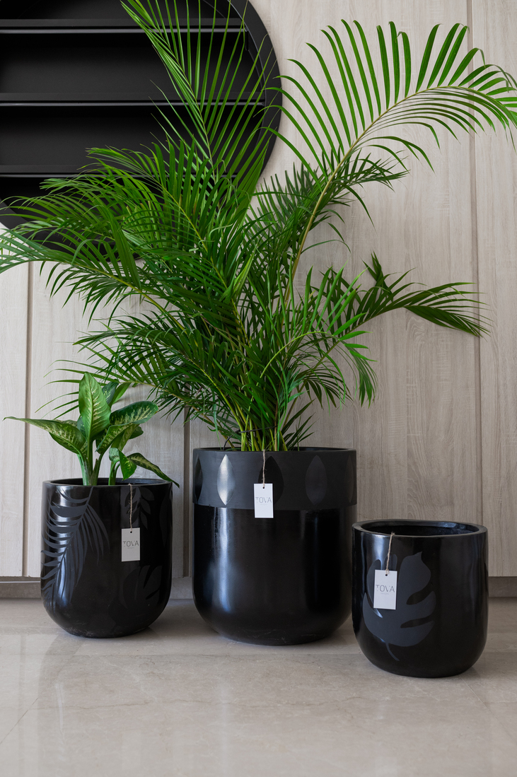 Black Pattern Print Pot 1