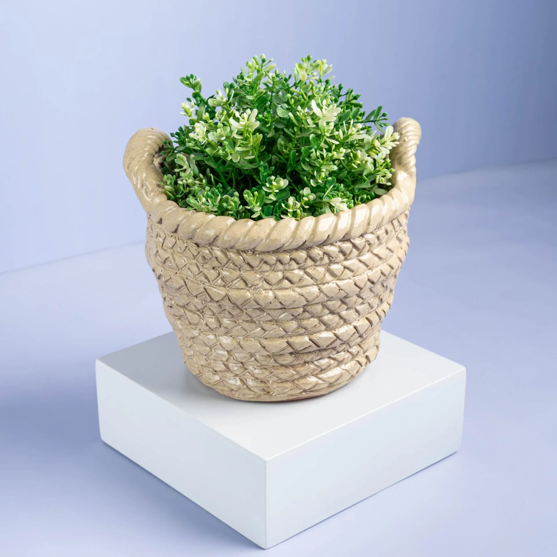 Weaved Basket Plant Pot 1